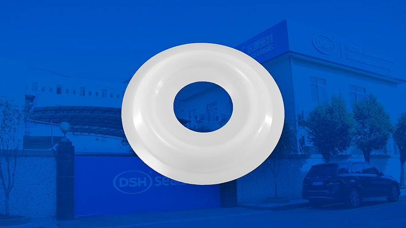 米頓羅計量泵膜片 （又叫隔膜、密封件、密封圈、油封） (2)