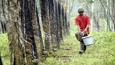 天然合成橡膠密封件是真有毒的嗎！？