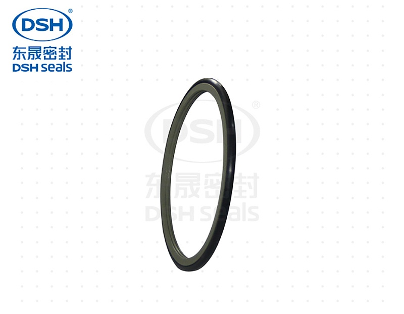 旋轉(zhuǎn)格萊圈DRS