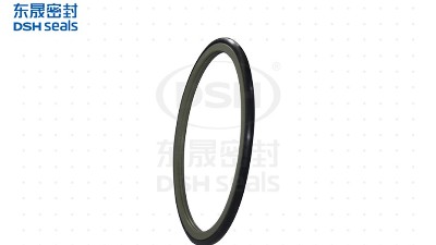 nok旋轉(zhuǎn)軸密封格萊圈|特急件2件時發(fā)貨