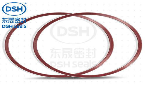 外側(cè)泛塞封