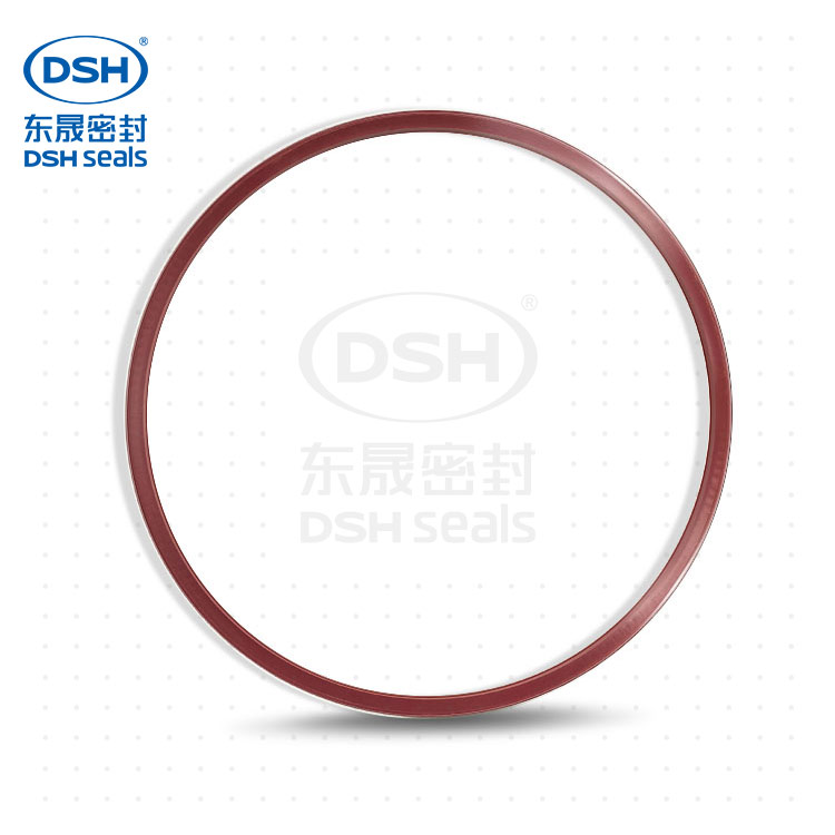 耐低溫彈簧蓄能外側(cè)泛塞封