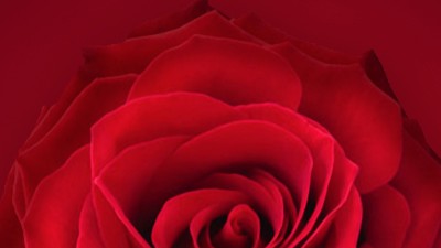 姐妹們，三八節(jié)快樂！