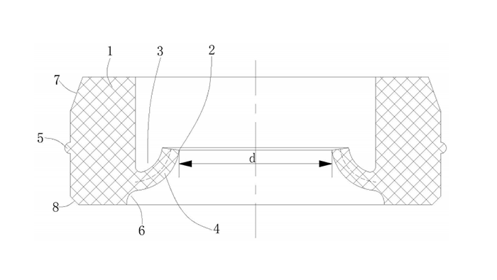 一種耐壓油封件-圖3是本實用新型的耐壓油封件的剖視圖