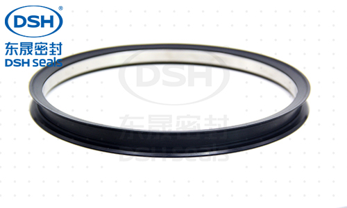 雙唇密封圈