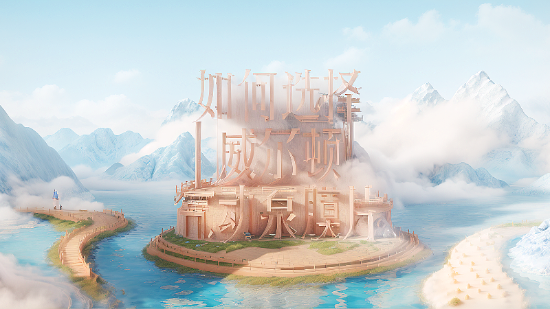 威爾頓氣動(dòng)隔膜泵膜片字體效果封面16-9 (2)