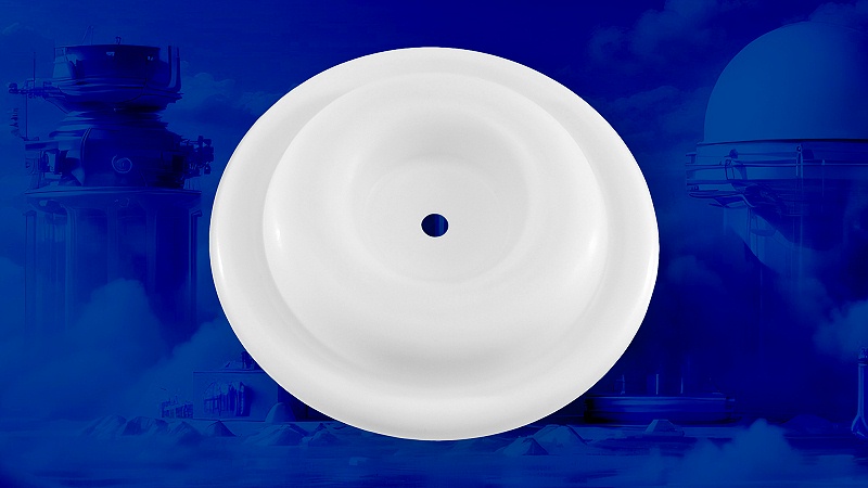 氣動泵膜片 氣動隔膜泵膜片或隔膜配件產品圖