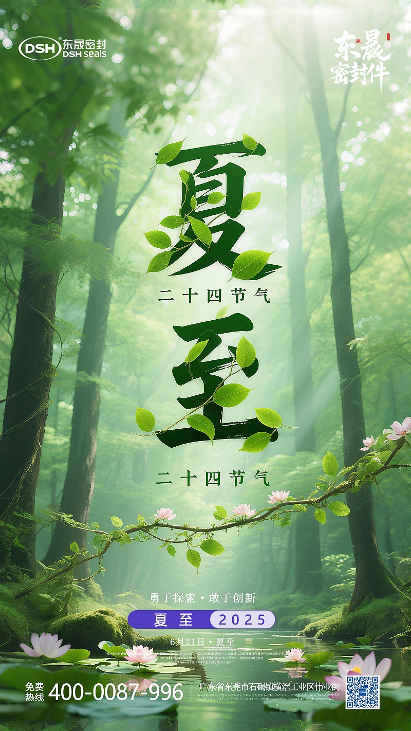夏至節(jié)氣2025年6月21日二十四節(jié)氣-東晟密封件-(2)-副本11