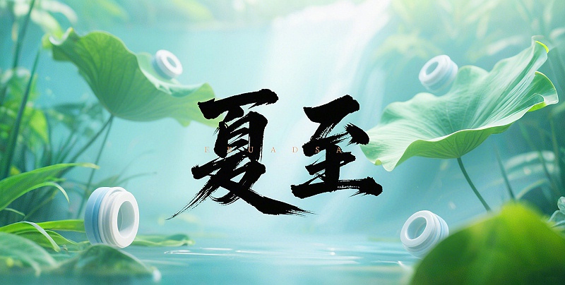 夏至節(jié)氣2025年6月21日二十四節(jié)氣-東晟密封件-(2)-副本