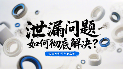 泵閥密封圈泄漏問題：如何徹底解決？