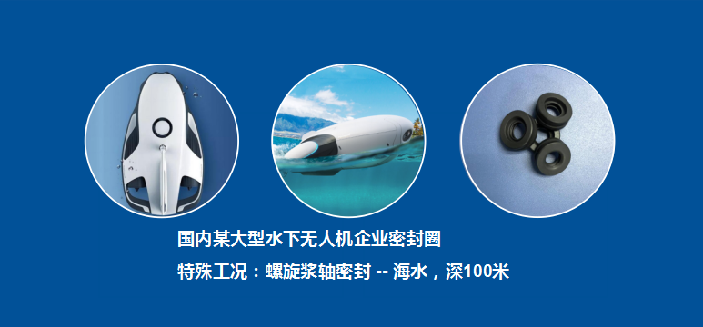 海水無(wú)人機(jī)密封圈