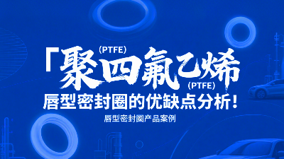 聚四氟乙烯（PTFE）唇型密封圈的優(yōu)缺點分析！