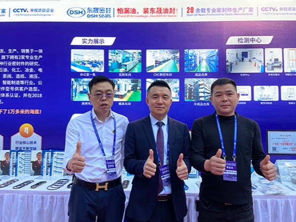 東晟密封網(wǎng)紅節(jié)-東晟唇形密封圈