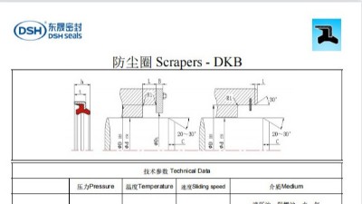 新版防塵圈規(guī)格尺寸表