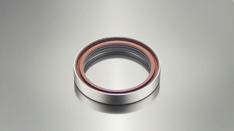 氟橡膠骨架油封---一種由氟橡膠密封材質(zhì)制成的骨架型油封密封件，廣泛應(yīng)用于各大行業(yè)中，如化工行業(yè)等