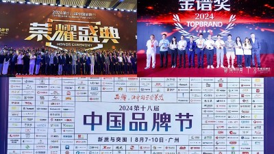東晟密封件閃耀2024第十八屆中國品牌節(jié)，榮獲密封技術“金譜獎”