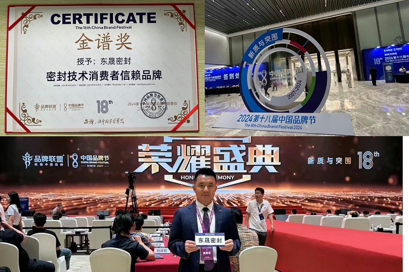 3東晟密封件閃耀2024第十八屆中國品牌節(jié)，榮獲密封技術“金譜獎”