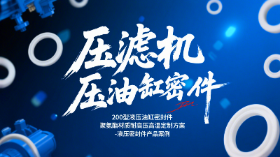 壓濾機(jī)200型液壓<i style='color:red'>油缸密封圈</i>！聚氨酯材質(zhì)耐高壓高溫定制方案