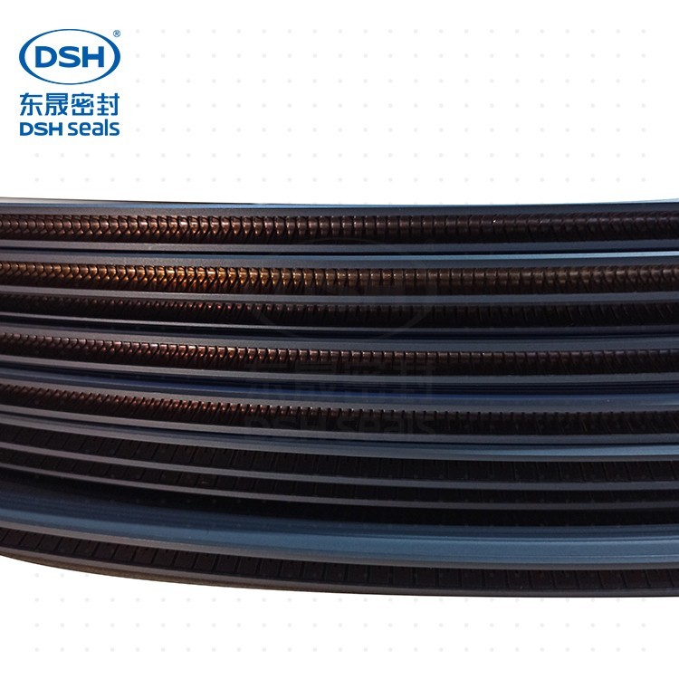 外側(cè)泛塞封PTD