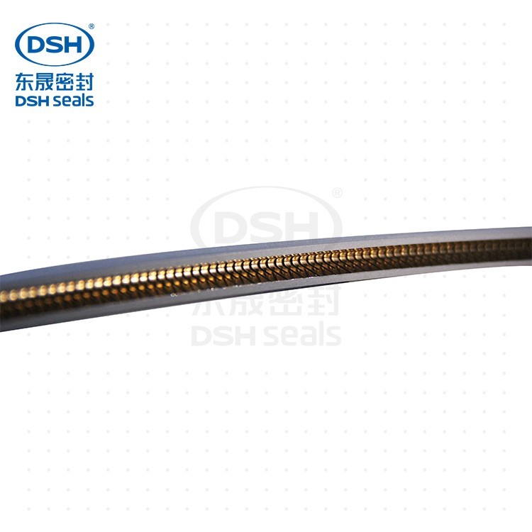 外側(cè)泛塞封PTD