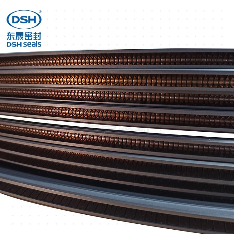 外側(cè)泛塞封PTD