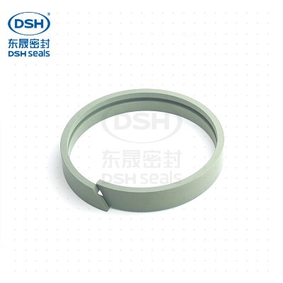 孔用導向環(huán)（導向帶）DFA