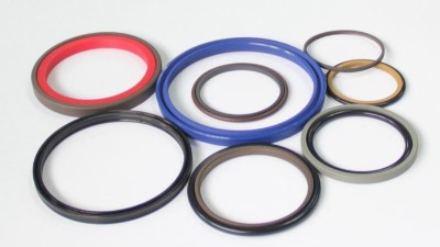 一個(gè)應(yīng)用在食品級(jí)螺桿泵的機(jī)械設(shè)備密封件？食品類密封圈？