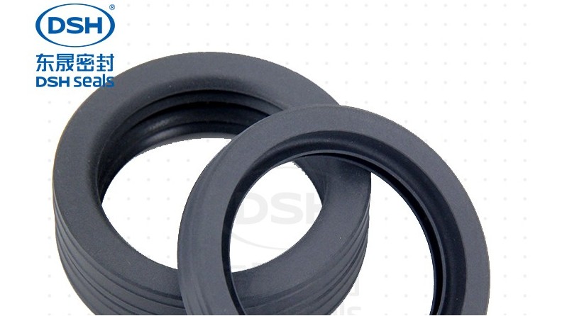 環(huán)保設備密封解決方案—B1油封