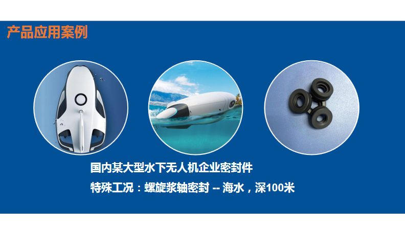 海水密封圈B型油封密封圈應(yīng)用于潛水電機(jī)