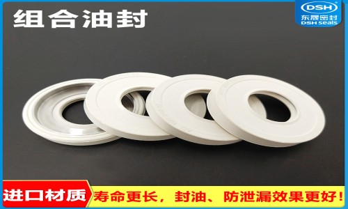 組合油封