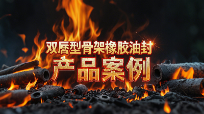 雙唇型骨架橡膠油封產(chǎn)品案例丨軸用密封大揭秘！高溫200℃下，憑啥成“防漏王者”？?