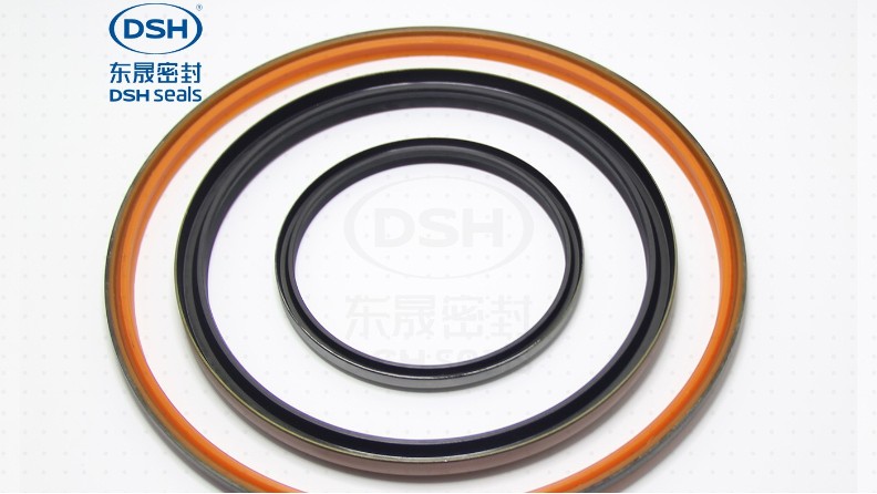 日本株式會社某公司采購東晟密封DKB防塵密封圈