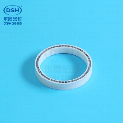 往復(fù)孔用泛塞封