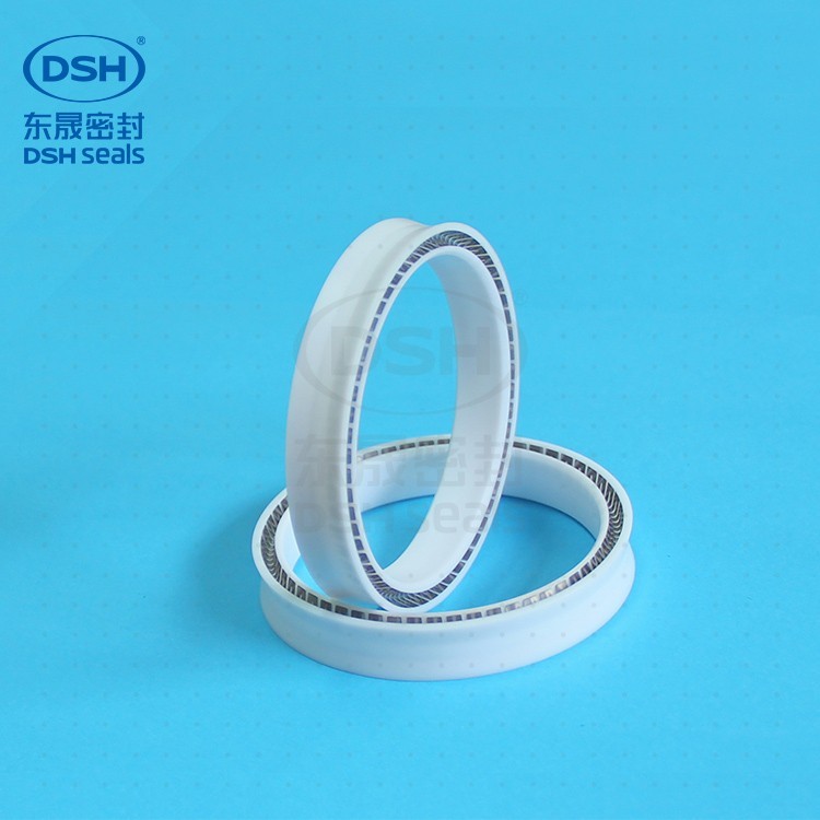 往復(fù)孔用泛塞封