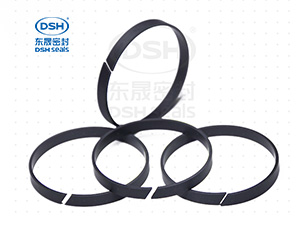 導(dǎo)向環(huán)（背托環(huán)）