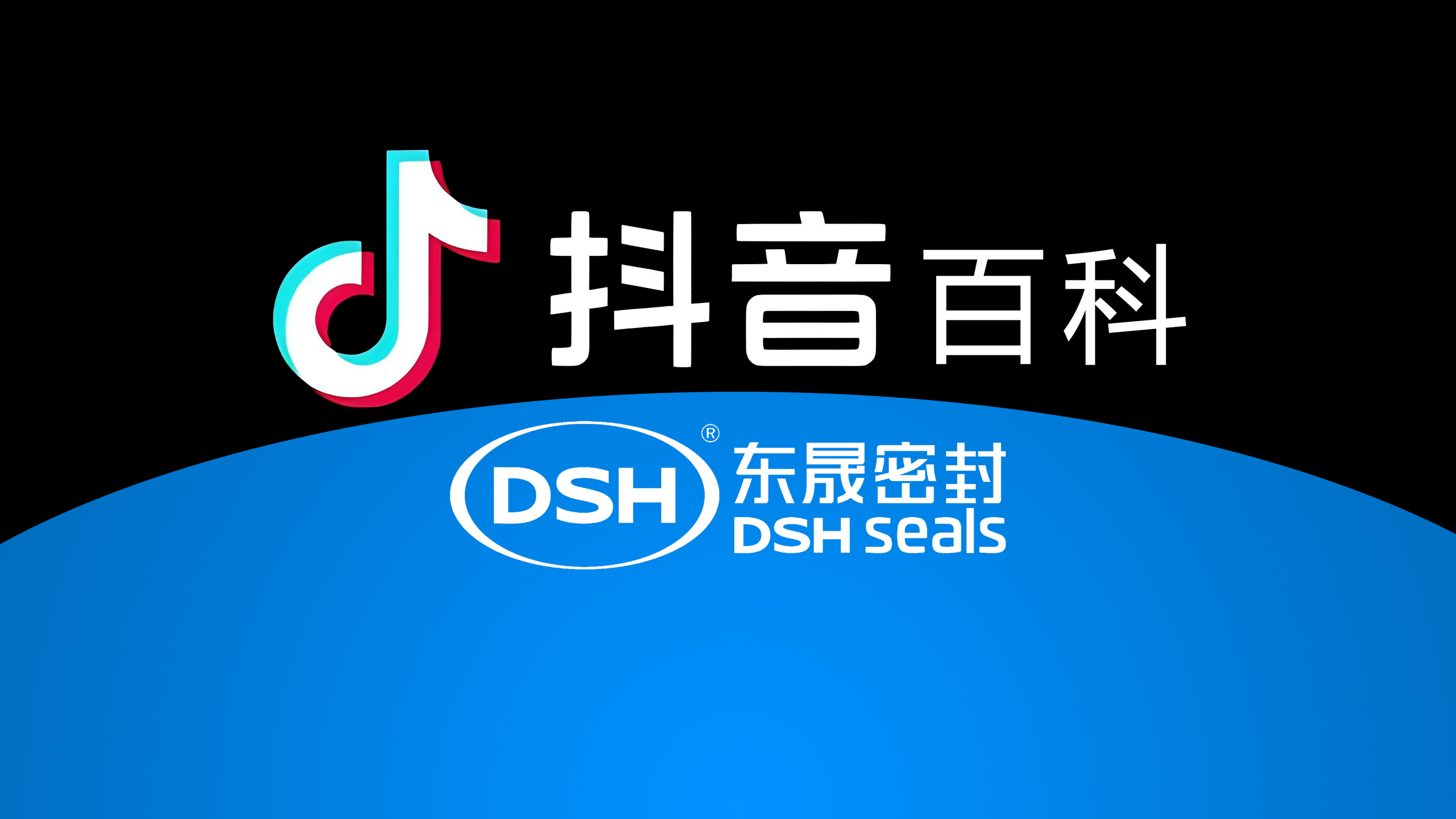 權(quán)威解讀，東晟密封件官方百科閃耀<i style='color:red'>抖音</i>！