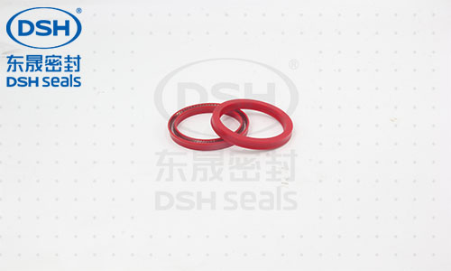 彈簧蓄能密封圈