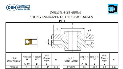 新版彈簧增強端面外側密封