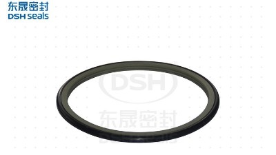 真空密封旋轉(zhuǎn)格萊圈