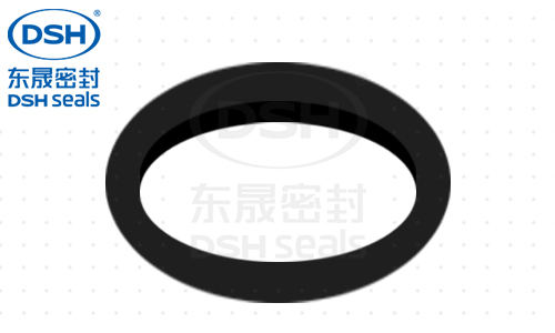 旋轉(zhuǎn)泛塞封密封圈