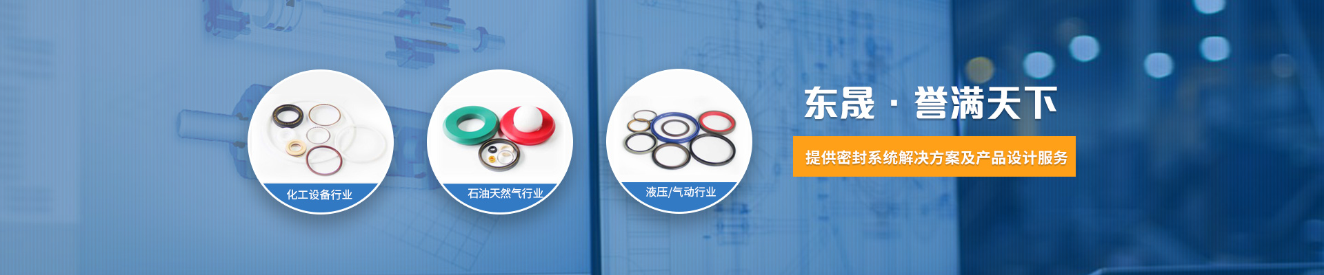 東晟密封-提供密封系統(tǒng)解決方案及產(chǎn)品設計服務