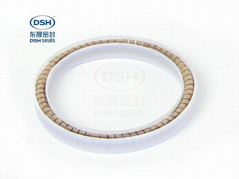 旋轉(zhuǎn)密封