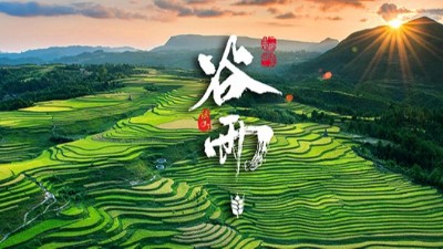 谷雨：春天的結(jié)束，生機(jī)的開始！