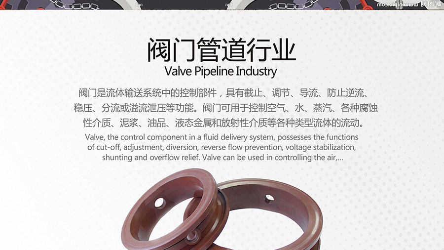 泵閥密封件：防止流體泄漏的重要部件