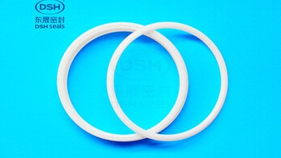 o型密封圈<i style='color:red'>密封泄漏</i>的6種泄漏原因分析21種及防治措施！百科知識(shí)