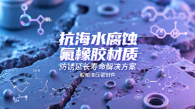 船舶液壓密封圈丨抗海水腐蝕及氟橡膠材質(zhì)防銹延長設(shè)備壽命解決方案！