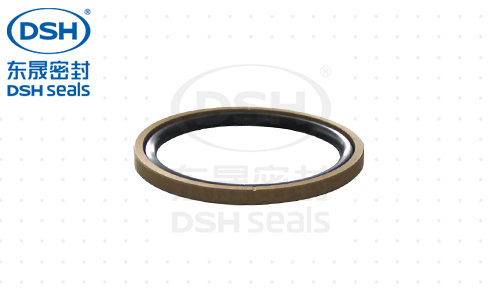 方型組合圈DSF孔用格來(lái)圈