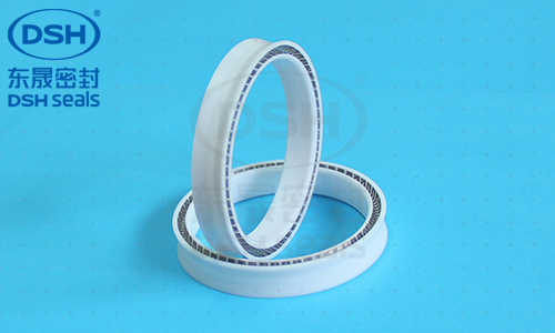 往復(fù)孔用泛塞封