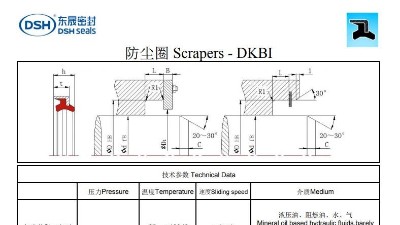 新版防塵圈DKBI規(guī)格尺寸表