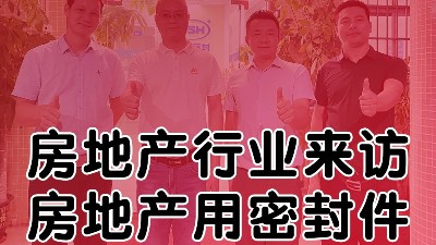 房產(chǎn)巨頭與東晟密封圈公司強強聯(lián)合，探索跨界合作新機遇！